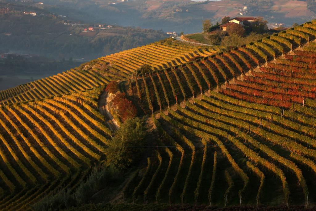 Albergo Castiglione Langhe Castiglione Tinella Luaran gambar